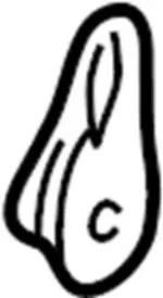 876101W361 - Body: Lever for Infiniti Image