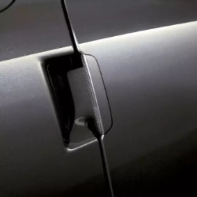Outside Door Handles - Gray - GM (19202632)