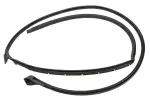 15872266 - : Roof Weather-Strip for GM Image