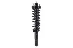 1335519R - : Focus Auto Parts Suspension Strut and Coil Spring Assembly for Focus Auto Parts Image