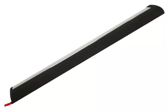 15169440 - Body: Body Side Molding for GM Image