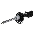 ASH866632 - Suspension: Motorcraftâ„¢ Suspension Strut for Lincoln: Corsair Image