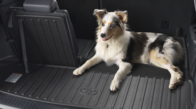 Cargo Liner          - Toyota (PT9244814010)