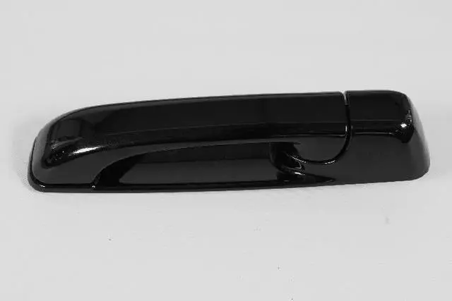 1GH19JGTAF - Doors, Door Mirrors and Related Parts: Exterior Door Handle, Left for Ram: 1500 Image
