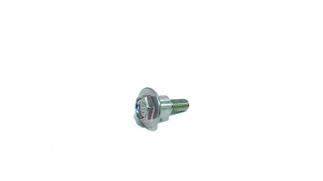 808206350 - : Cover Bolt for Subaru Image