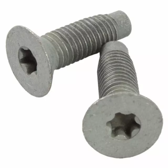 Striker Screw - Ford (W703283-S437M)