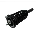 837332 - : Hyundai, Kia (Sedan) Suspension Strut and Coil Spring Assembly  - Front for GSP Image