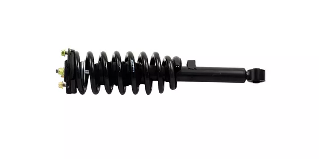 Strut - GM (903-960RS)
