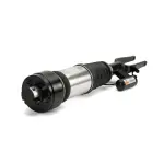 AS3001 - : Arnott Air Suspension Strut for Arnott Image