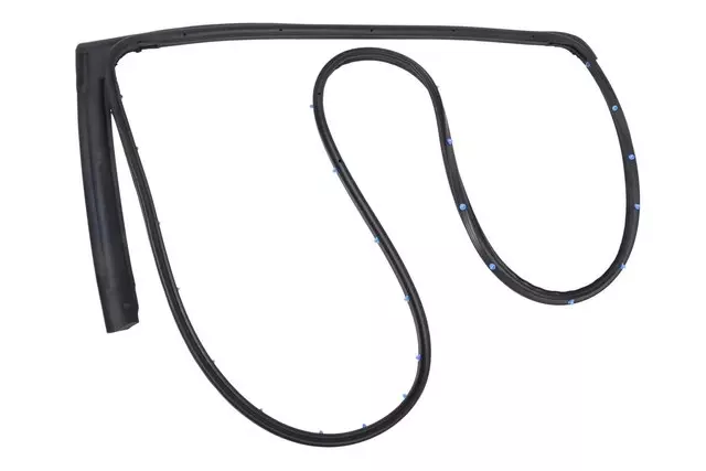 Door Weather-Strip - GM (42454860)