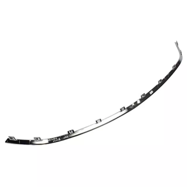 Lower Molding - Ford (DP5Z-8419-AA)