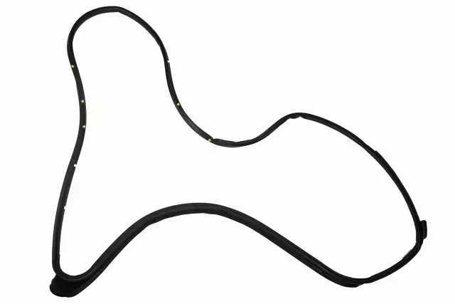 19316882 - : Passenger Side Front Door Weatherstrip for Chevrolet: City Express Image