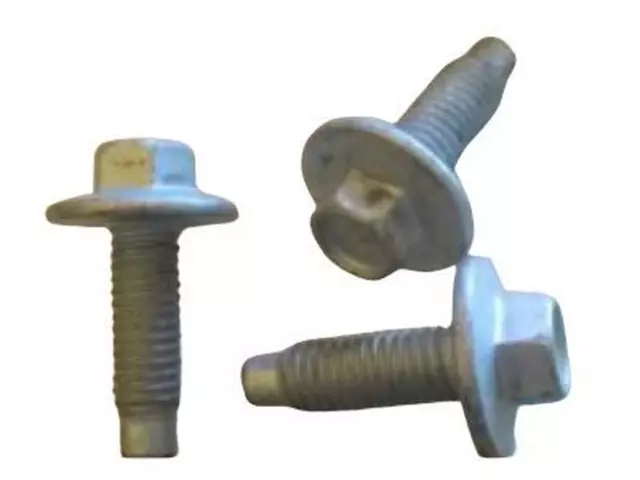 Washer Reservoir Screw - Ford (W702008-S442)