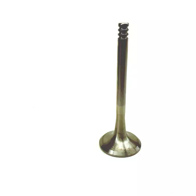 48109611B - Engine: Exhaust Valve for Volkswagen Image