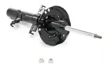 E43036MA1A - Suspension: Suspension Strut for Nissan: Qashqai, Rogue Sport Image