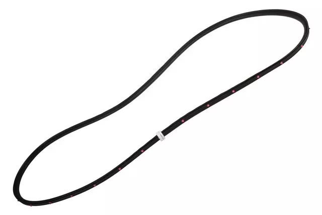 Part# 84136387 Front Passenger Side Door Weatherstrip - GM (84136387)