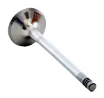 EM3483 - : Engine Exhaust Valve for Enginetech Image