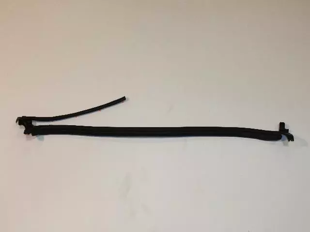 55359397AG - Body: Door Weather-strip for Ram: Dakota Image