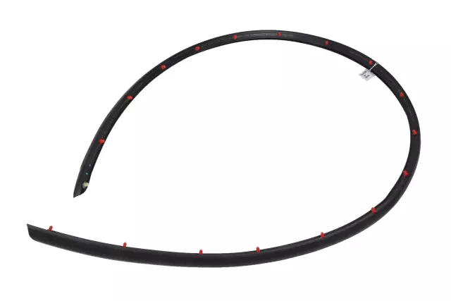 23166516 - : Driver Side Door Lower Auxiliary Weatherstrip for GM Image