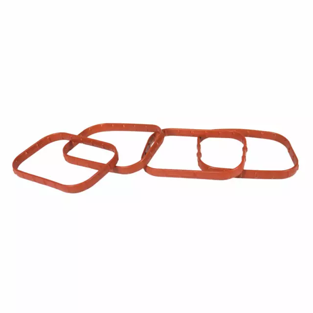 CJ5Z9439A - Engine: Intake Manifold Gasket for Ford: Bronco, Bronco Sport, Edge, Escape, Explorer, Focus, Fusion, Maverick, Mustang, Ranger, Special Service Police Sedan, Taurus | Lincoln: Corsair, MKC, MKT, MKZ, Nautilus Image