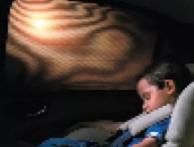 XR835539 - Interior: Side Window Blinds for Jaguar Image