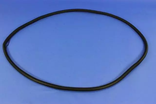 Front Door Body Mounted Weatherstrip, Right Or Left - Mopar (68145007AB)