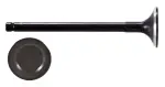 V2201 - : Engine Exhaust Valve for Enginetech Image