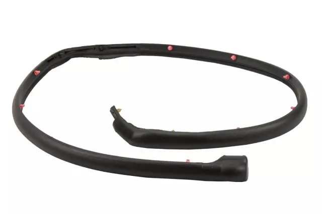 Rear Driver Side Door Weatherstrip - GM (23297407)