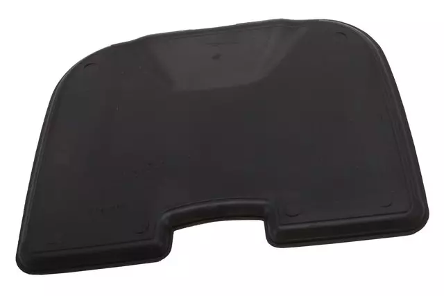 Jet Black Instrument Panel Upper Center Compartment Mat - GM (22759356)