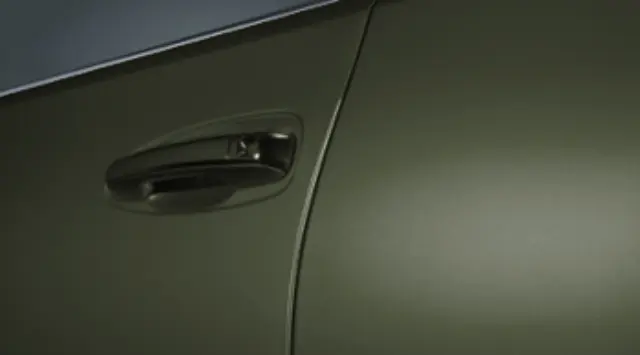 PT9366024006 - Exterior: Door Edge Guards - Terrane Khaki M.M for Lexus Image