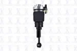 99031 - : Focus Auto Parts Air Suspension Strut for Focus Auto Parts Image