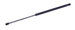 611941 - : Liftgate Lift Support for Tuff Support Image
