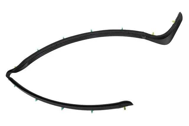 25948405 - Body: Lower Weather-strip for Cadillac: CTS Image