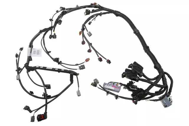 Engine Control Module and Engine Wiring Harness - GM (39049541)