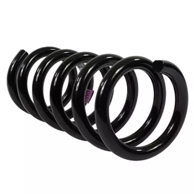 2016-2020 Ford Mustang - Coil Spring - Ford (FR3Z-5560-AJ)