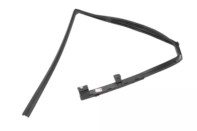 Rear Passenger Side Door Window Weatherstrip - GM (42572088)