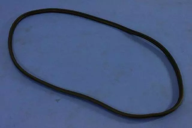 Front Door Secondary Weatherstrip - Mopar (55399256AE)
