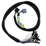 LC3Z14A303B - : Wire Assembly for Ford Image