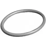 244PKG - : National 244PKG Multi-Purpose O-Ring for National Bearings Image