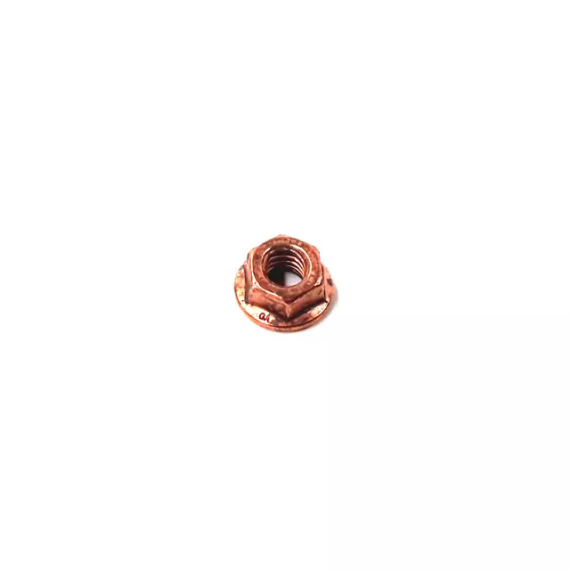 N02300215 - : Shield Lock Nut for Volkswagen: Beetle, Jetta, Passat Image
