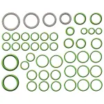 1321256 - : gpd Rapid Seal Kit 1321256 for GLOBAL PARTS DISTRIBUTORS Image