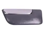 15091889 - Body: Side Molding for GM Image