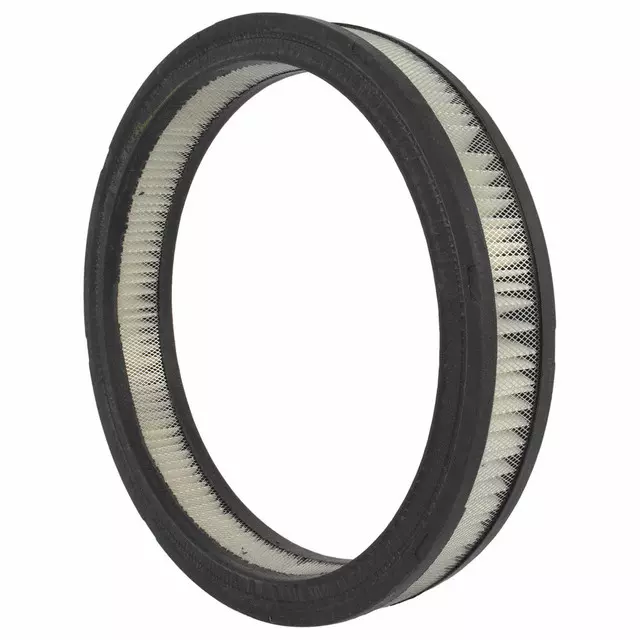 Element Assembly Air Cleaner - Ford (B7SZ-9601-A)