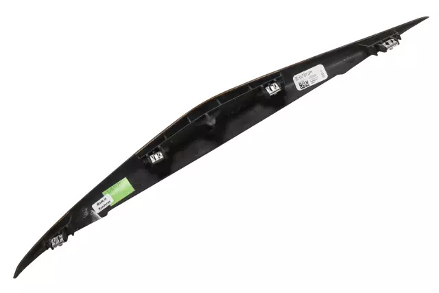 Sumi Black Tamo Ash Instrument Panel Accessory Center Trim Plate - GM (23356396)