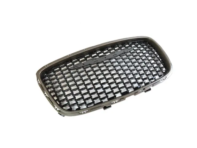 Radiator Grille - Mopar (6DF46DX8AB)