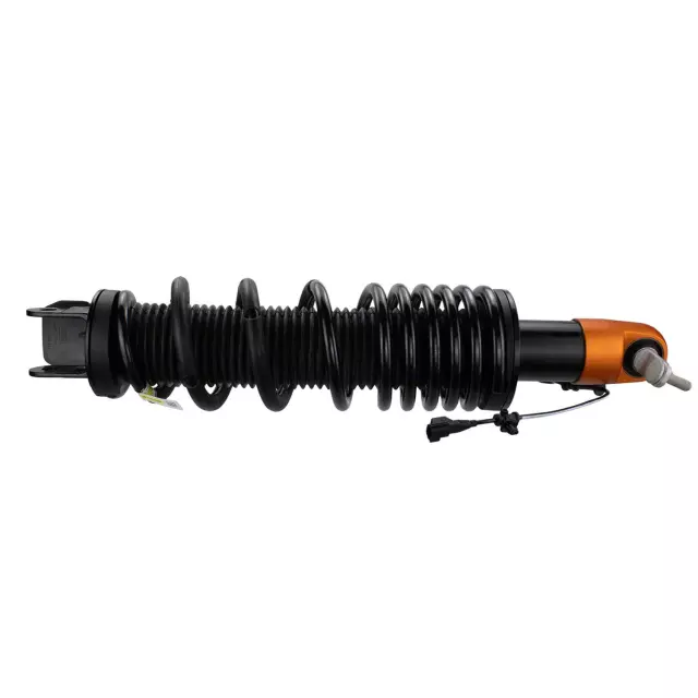 Shock Absorber Assembly - Ford (NB3Z-18125-P)