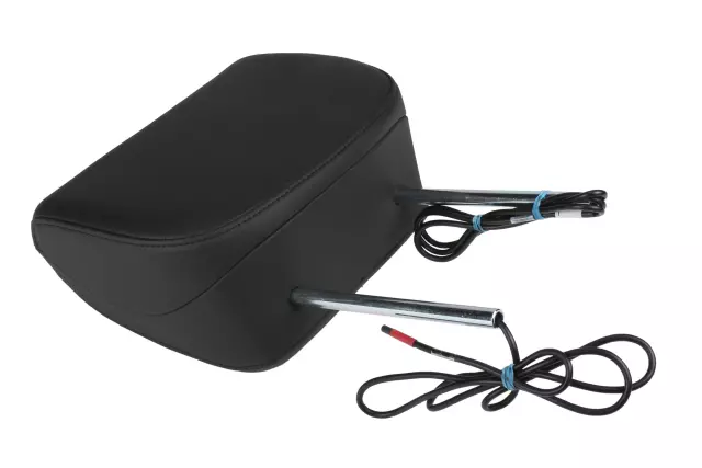 23188740 - Electrical: DVD Unit for GM Image