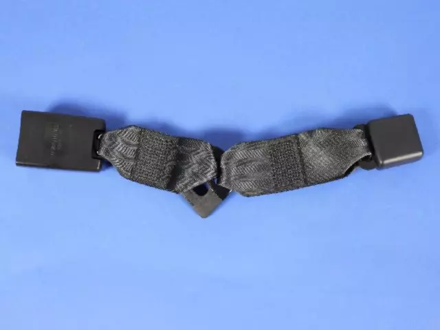 Rear Inner Seat Belt, Right - Mopar (1FR741DVAB)