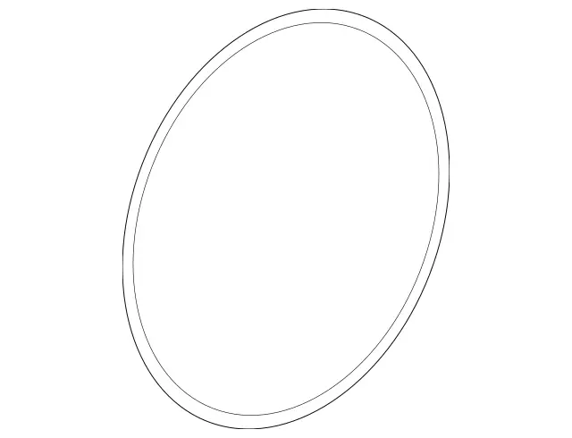 269979445 - Front Axle: O-Ring for Mercedes-Benz: AMG GT 43, AMG GT 53, AMG GT 63, AMG GT 63 S, AMG GT 63 S E Performance, C300, C400, C43 AMG, C450 AMG, C63 AMG S E Performance, CLE300, CLS450, CLS53 AMG, E300, E350, E400, E43 AMG, E450, E53 AMG, E63 AMG S, GLC300, GLC43 AMG, GLC63 AMG, GLC63 AMG S, GLC63 AMG S E Performance Image image