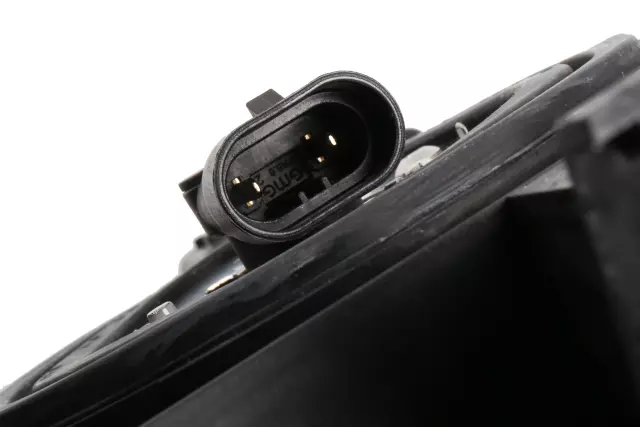 Capsule - GM (19435072)